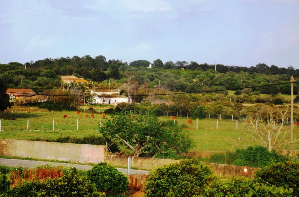 Casas Do Pomar Villa Lagos Camera foto